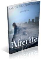 Blitz Sign-Up: Afterlife by Sandy Goldsworthy