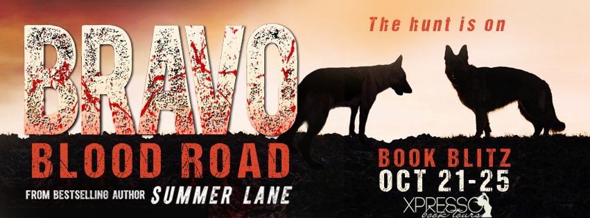 Book Blitz: Bravo: Blood Road by Summer Lane