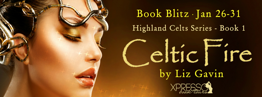 Book Blitz: Celtic Fire by Liz Gavin