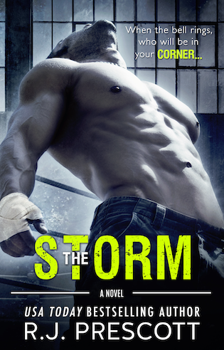 The Storm Cover Reveal & Giveaway