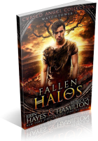 Blitz Sign-Up: Fallen Halos by Erin Hayes & Rebecca Hamilton