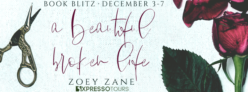 Book Blitz: a beautiful broken life by Zoey Zane + Giveaway (INTL)