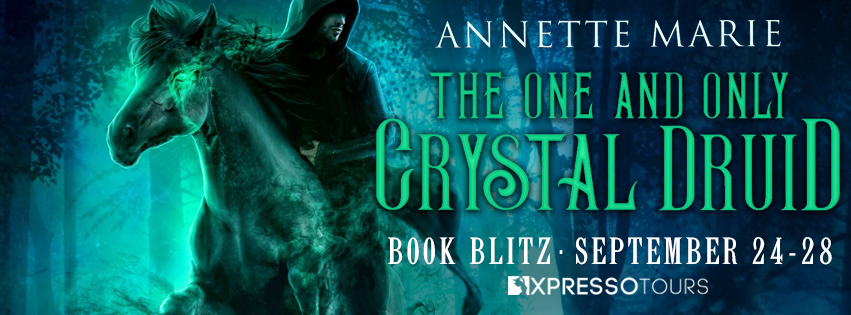 Book Blitz: The One and Only Crystal Druid by Annette Marie + Giveaway (INT)