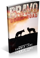 Blitz Sign-Up: Bravo: Blood Road by Summer Lane