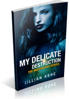 Blitz Sign-Up: My Delicate Destruction by Jillian Ashe