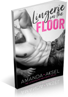 Review Opportunity: Lingerie on the Floor by Amanda Aksel