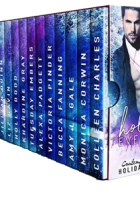 Blitz Sign-Up: Holidays Ever After Boxed Set