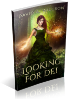 Blitz Sign-Up: Looking for Dei by David A. Willson
