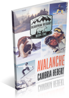 Blitz Sign-Up: Avalanche by Cambria Hebert
