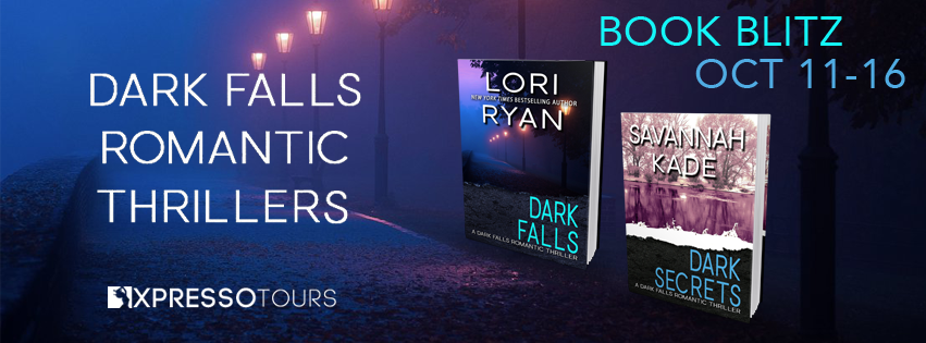 Dark Falls, Romantic Suspense, Excerpts, Giveaway, Bea's Book Nook