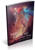 Blitz Sign-Up: Three Burning Red Runaway Brides by Kevin James Breaux