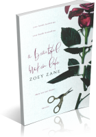 Blitz Sign-Up: a beautiful broken life by Zoey Zane