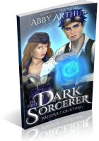Blitz Sign-Up: The First Dark Sorcerer by Abby Arthur