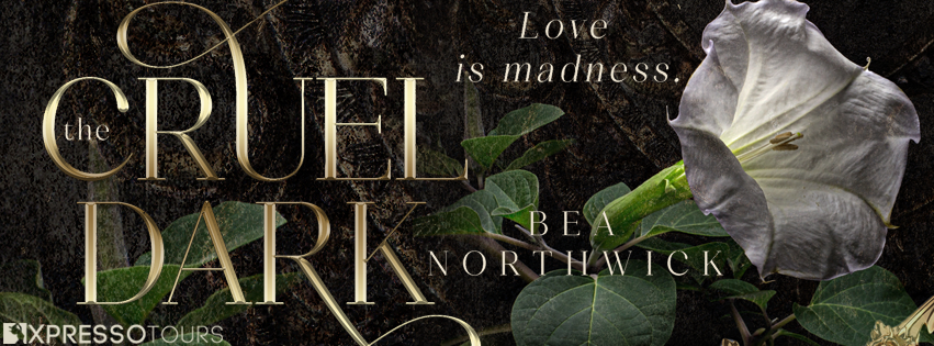 Cover Reveal: The Cruel Dark by Bea Northwick